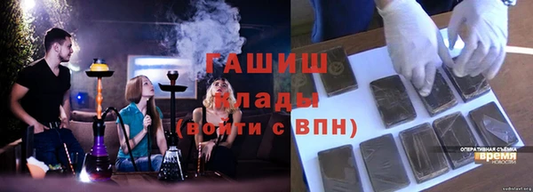 спиды Ельня