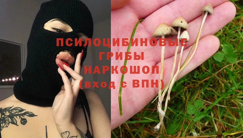 цена наркотик  hydra онион  Галлюциногенные грибы Psilocybine cubensis  Елец 